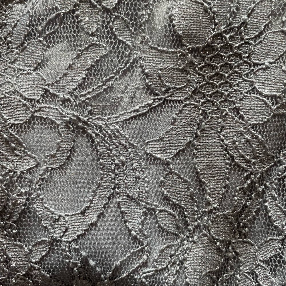 Nightway full length, silver lace and tulle evening or event dress Size 6 - Picture 7 of 7